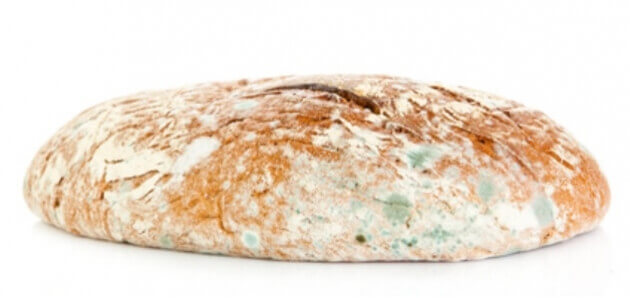 https://www.stilltasty.com/img/articleimg/thumbnails/img_Moldy%20Bread1539955072.jpg